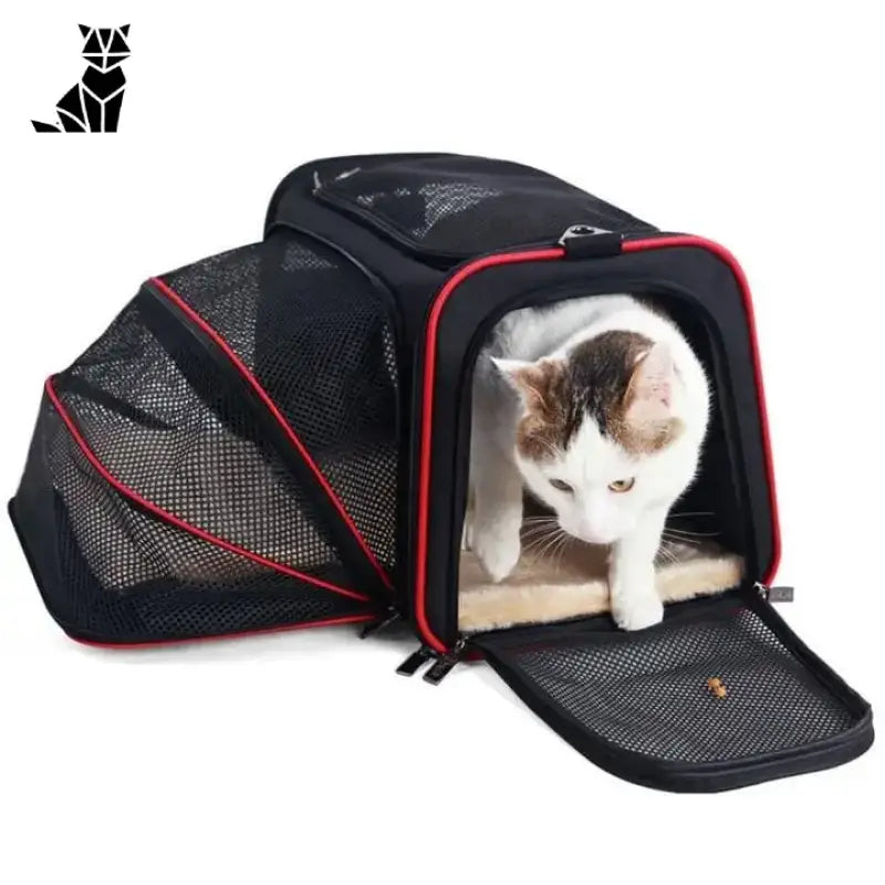 Sac De Voyage Classe Business Pour Chat: Confort Ultime En Voyage - Classe Business