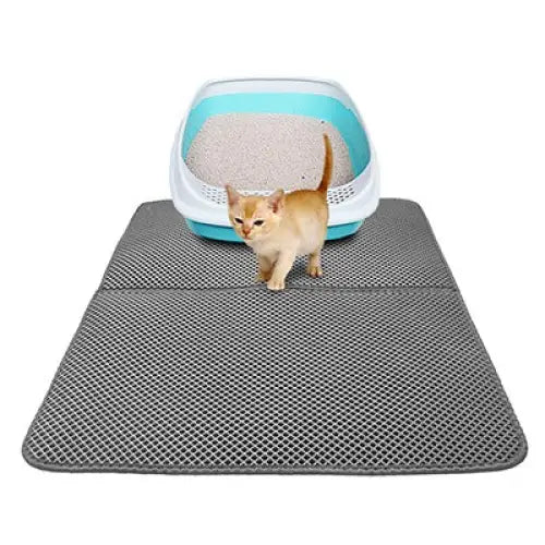Chat marchant sur Anti-scatter litter mat, solution litière partout